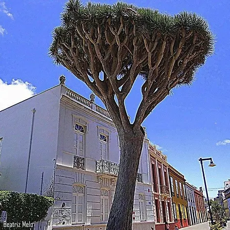 Esperanto Lejlighed La Laguna (Tenerife)